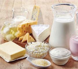 الحليب المعقم ومنتجات الألبان 